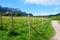 Grape plantation near Caldaro Lake in Bolzano/Bozen, Italy