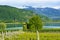 Grape plantation near Caldaro Lake in Bolzano/Bozen Sudtirol, Italy