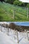 Grape plantation in summer and winter