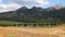 Grape plantations in Crimea mountains