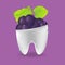 Grape Tooth Mixed Dental Symbol Vector