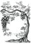 Grape tree hand drawing vintage engraving illustration on white