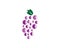 Grape vector icon