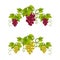 Grape vine monogram