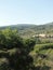 Grape vines in vineyard with Mont Ventoux