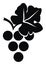 Grape wine, black silhouette, vector icon