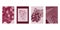 Grape wine t-shirt print set, roses texture. Vineyard screen pattern, decorative graphic report, realistic creative