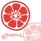 Grapefruit citrus fruits vector
