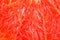 Grapefruit close-up. Background.