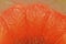 Grapefruit close-up. Slice of blood red ripe grapefruit. Texture of red juicy grapefruit. Macro image