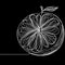 A grapefruit is depicted in a monochrome illustration, displaying a captivating spiral design, while a leaf adorns its upper part.
