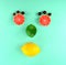 Grapefruit face. Fruit face. Lime isolate on turquoise background