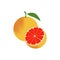 Grapefruit Fruit Icon