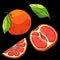 Grapefruit icon set on black backdrop stock vector illustration