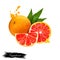 Grapefruit isolated on white background. Citrus paradisi, Pink grapefruit, Rutaceae family. Fresh tasty semi-sweet fruit colorful
