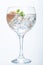 Grapefruit and parsley gin tonic isolated over white