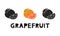 Grapefruit, silhouette icons set with lettering. Imitation of stamp, print with scuffs. Simple black shape and color vector