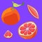 Grapefruit slices icon set on violet backdrop stock vector illustration