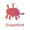 grapefruit splash illustration. Element of colored splash for mobile concept and web apps. Detailed grapefruit illustration can be