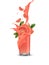 Grapefruit splash illustration. Splashing juice in glass. Cocktail falling pink slices isolated on background. Orange.