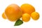 Grapefruit, tangerin and orange