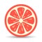 Grapefruit vector icon