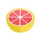 Grapefruit Vector Illustration In Flat Style Design.