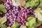 Grapes as very nice fruit background