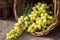 Grapes autumn harvest. Wicker basket with freshly harvested white grapes on burlap background.