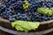 Grapes in a barrel after harvesting