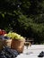 Grapes in baskets in the garden