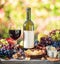 Grapes, bottle of wine and different cheeses on country wooden table and blurred colorful autumn background. Variety of products