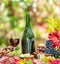 Grapes, bottle of wine and different cheeses on country wooden table and blurred colorful autumn background. Variety of products