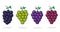 Grapes collection in cartoon style grapes fruit vector art illustration