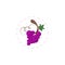 grapes colorful clipart. grapes flat illustration