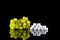 Grapes. Comparison of sugar content