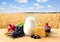 Grapes, dates, figs, garnets, milk in a pitcher, cheese, barley and wheat on wooden table on a background wheat field in period