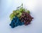 Grapes of different shapes and colors on the table, grape tasting and tasting concept