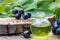 Grapes essential oil in a glass bottle and dice on old wooden boards. Blue grape. Spa, eco products concept