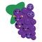 Grapes family emoji vector illustration