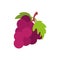 Grapes fruits flat style icon