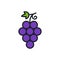 Grapes. Grape icon. Linear color icon, contour, shape, outline. Thin line. Modern minimalistic design. Vector