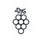 Grapes. Grape icon. Vector linear icon, contour, shape, outline isolated on a white background. Thin line. Modern