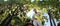 Grapes harvest, Winemaker in vineyard