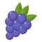Grapes icon, flat style