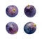 grapes isolated pictures