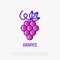 Grapes with leaf thin line icon