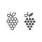 Grapes line and glyph icon, fruit and plant, wine sign, vector graphics, a linear pattern on a white background.