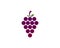 Grapes Logo Template