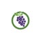 Grapes logo template vector icon illustration design.